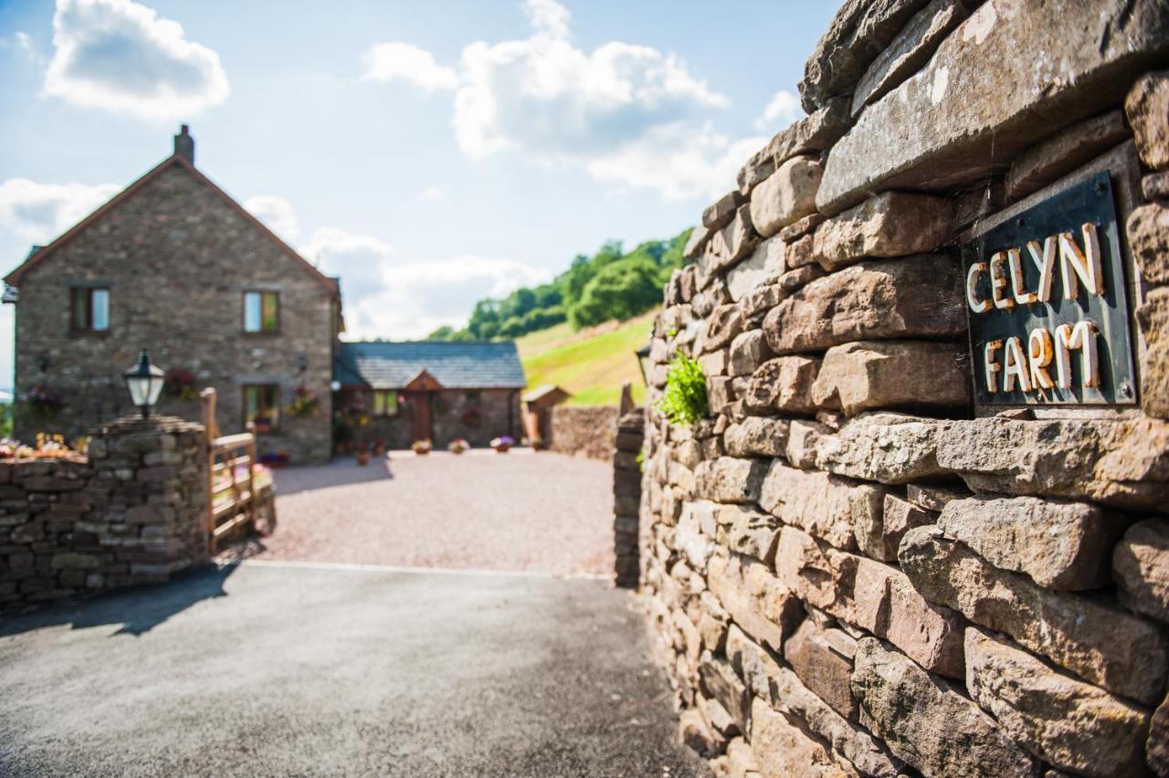The Celyn Bed and Breakfast Pont Newydd Buitenkant foto