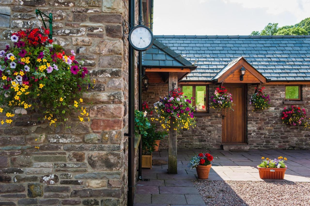 The Celyn Bed and Breakfast Pont Newydd Buitenkant foto