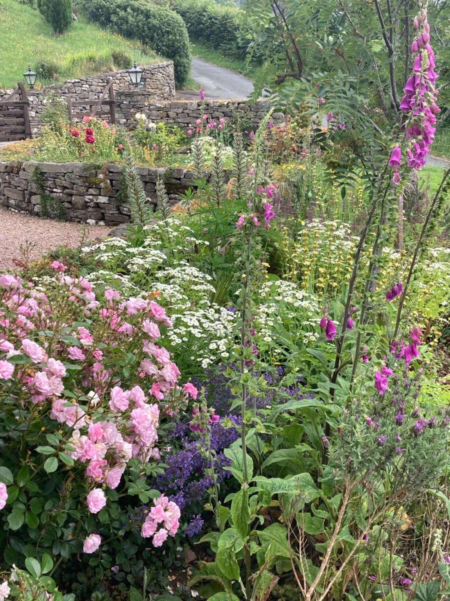 The Celyn Bed and Breakfast Pont Newydd Buitenkant foto